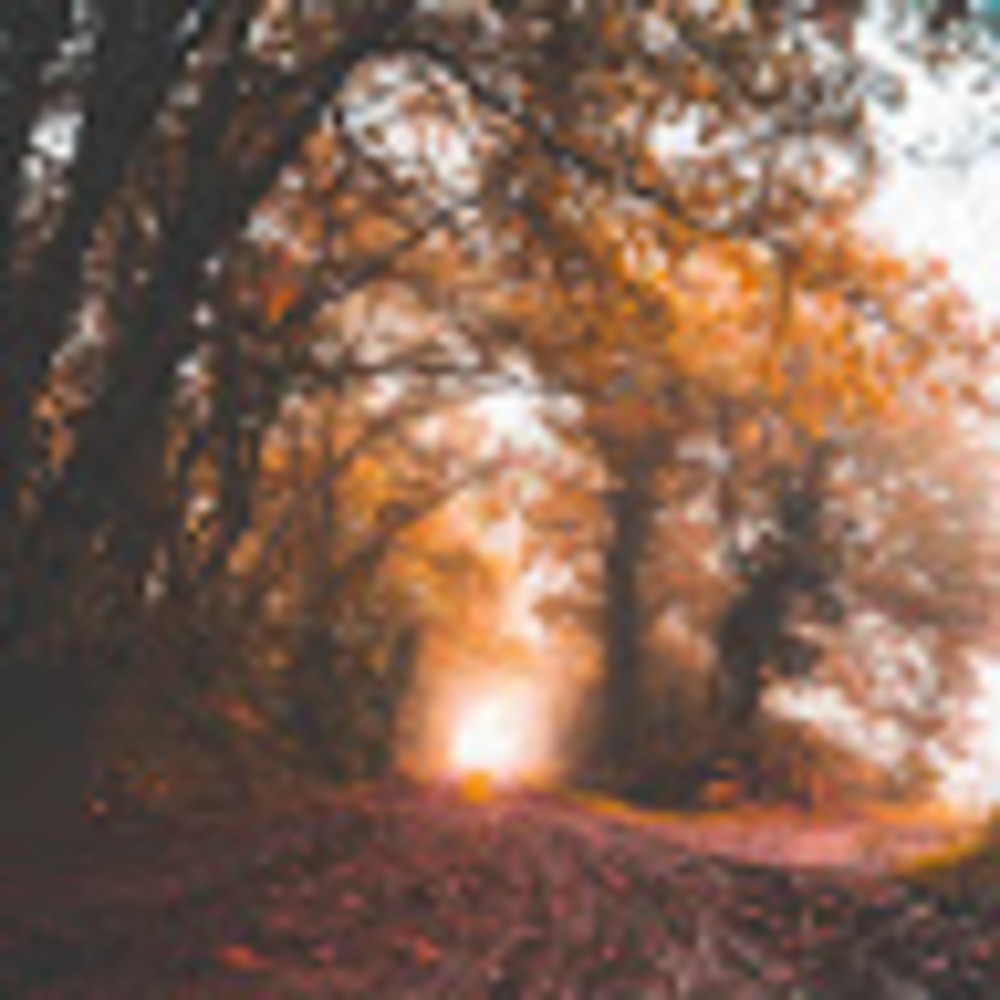 Meet your Posher, Aeron